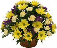 Kohut Katalin: Kertészkedjünk?